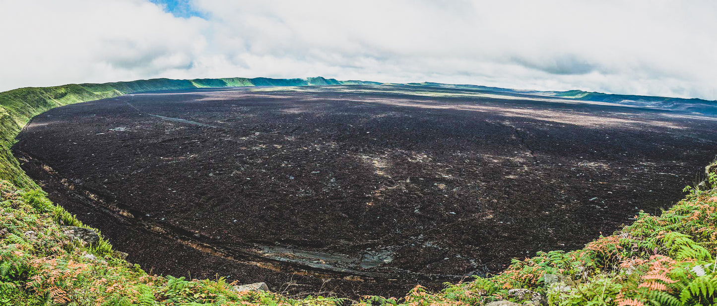 The Galapagos Islands Experience
