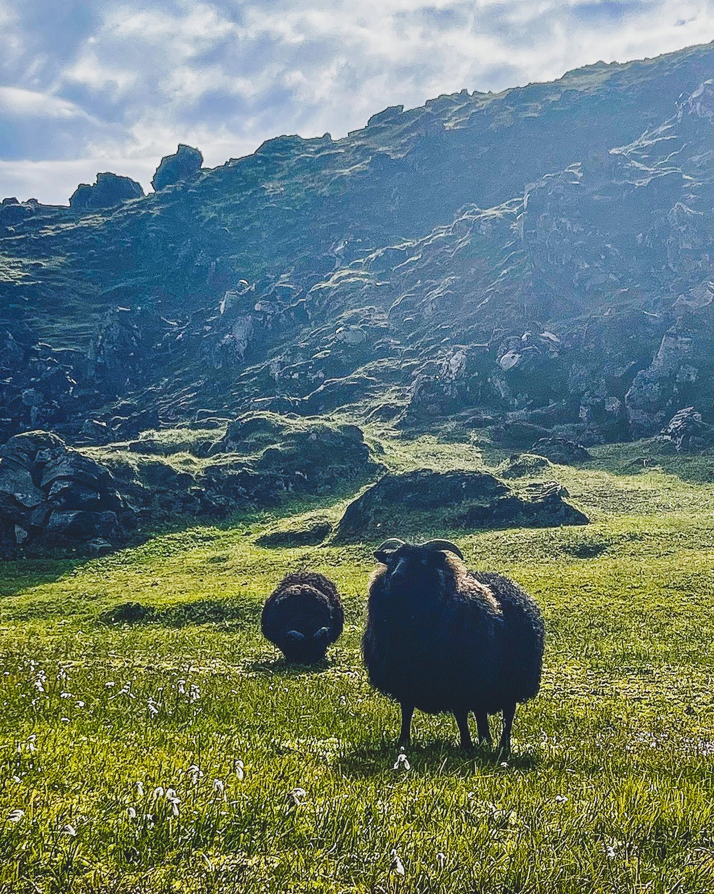 The Ultimate Iceland Experience