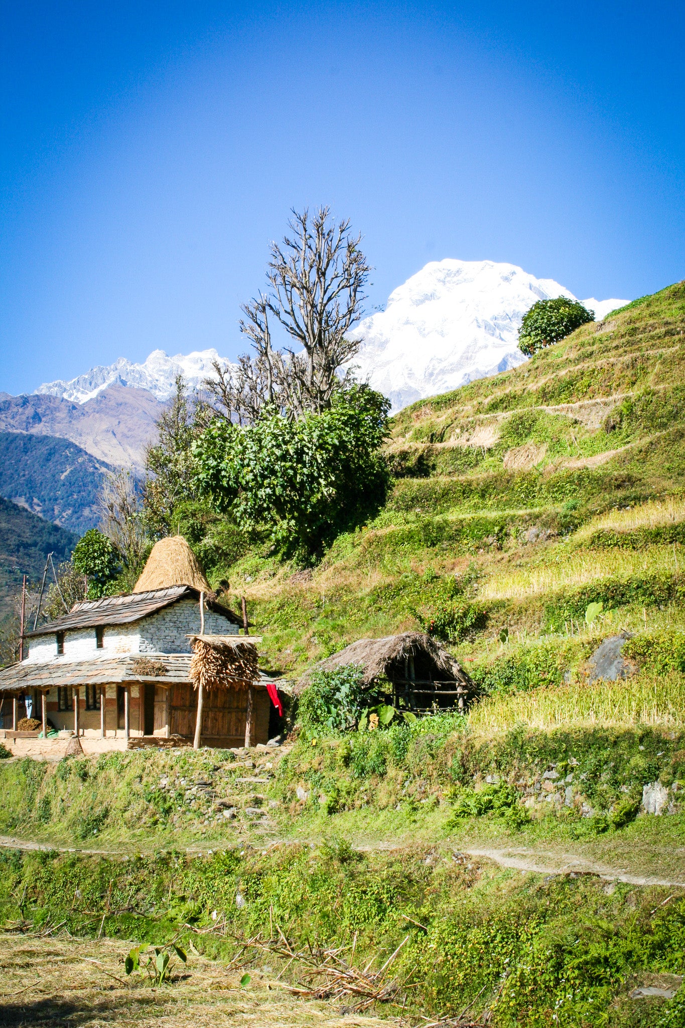 Explore The Wonders of Nepal