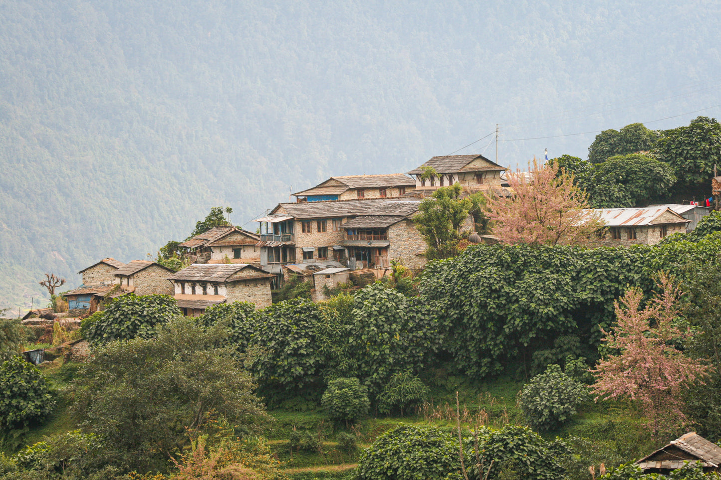 Explore The Wonders of Nepal