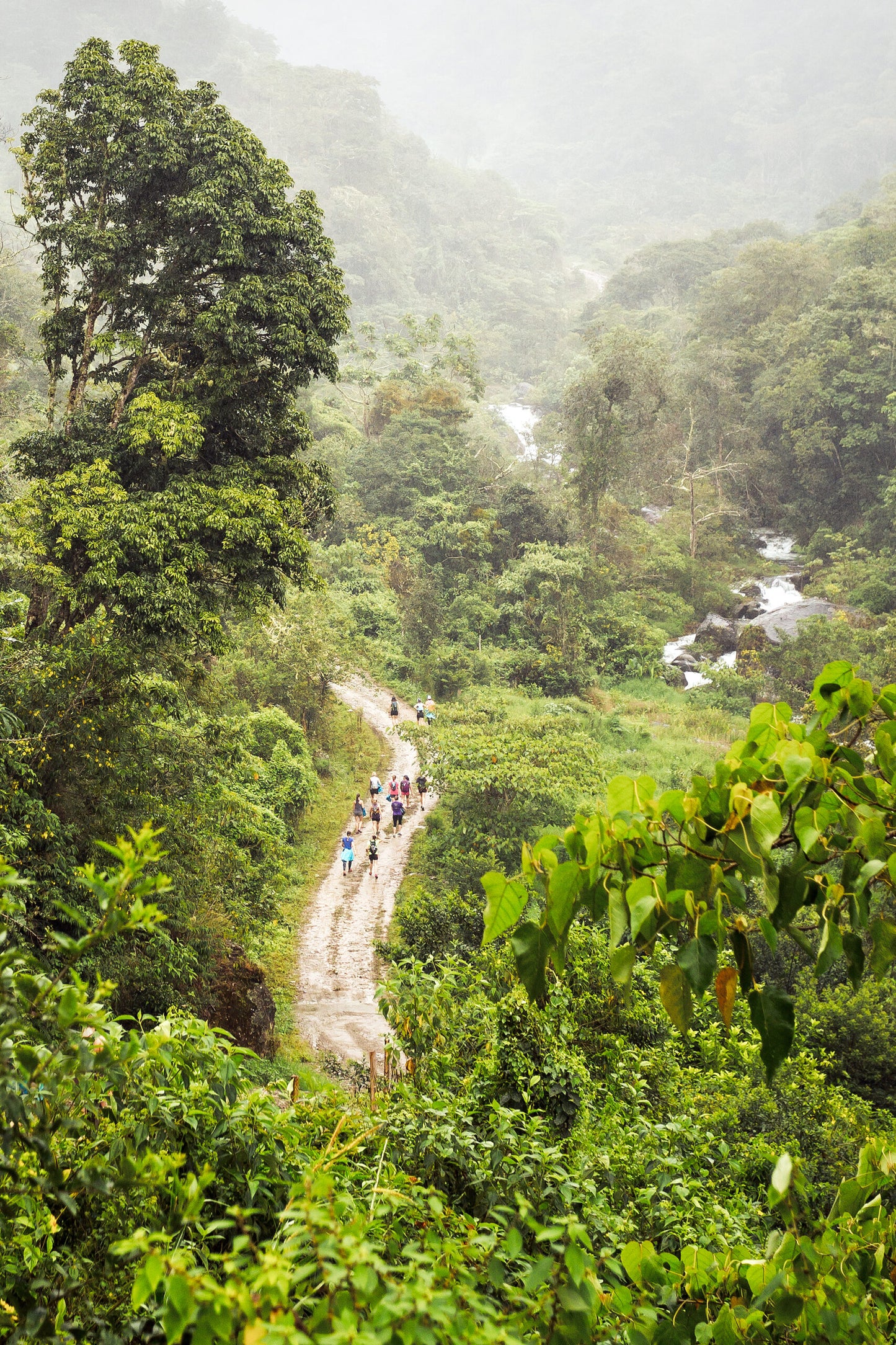 The Costa Rica Experience
