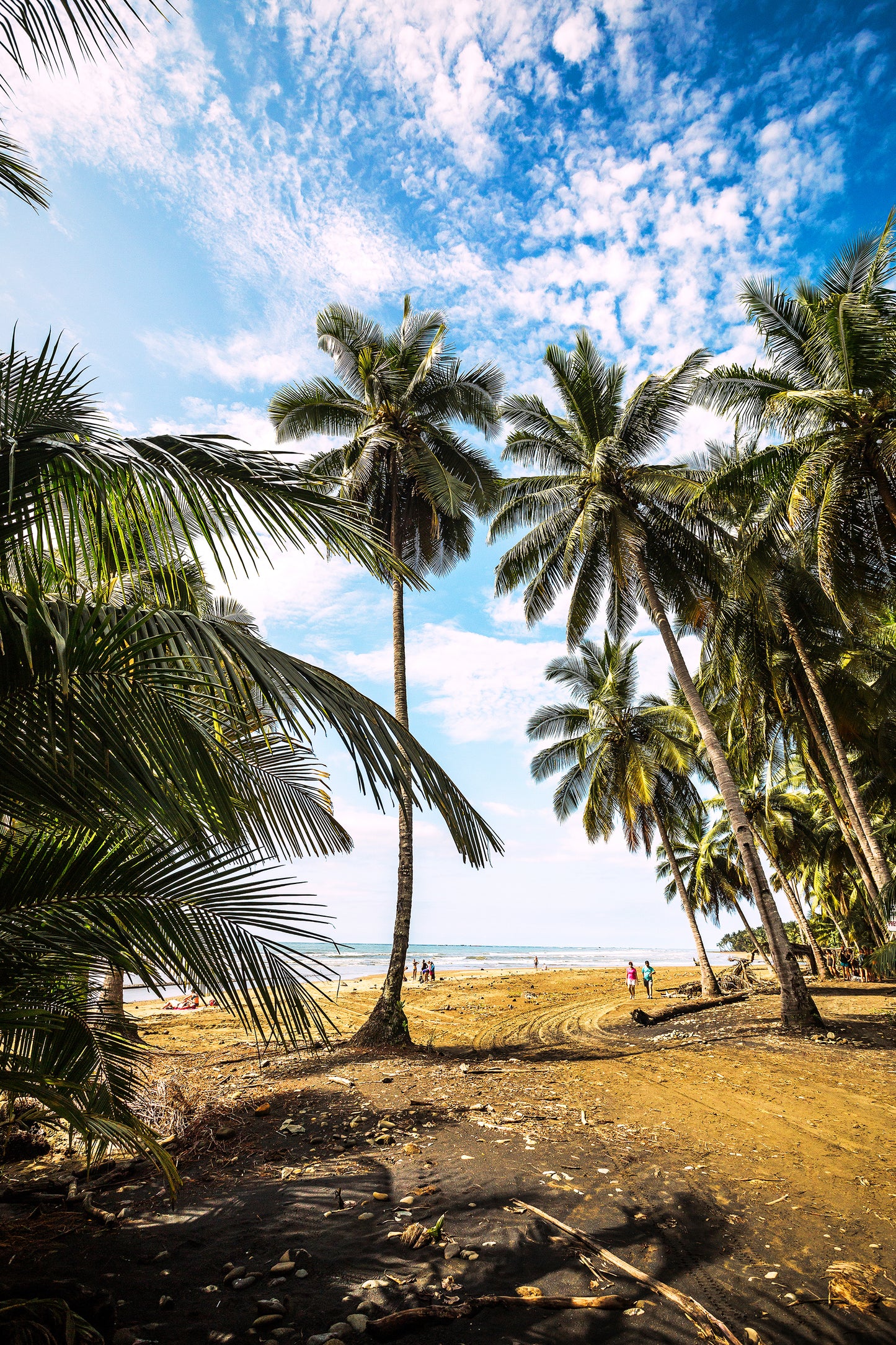 The Costa Rica Experience