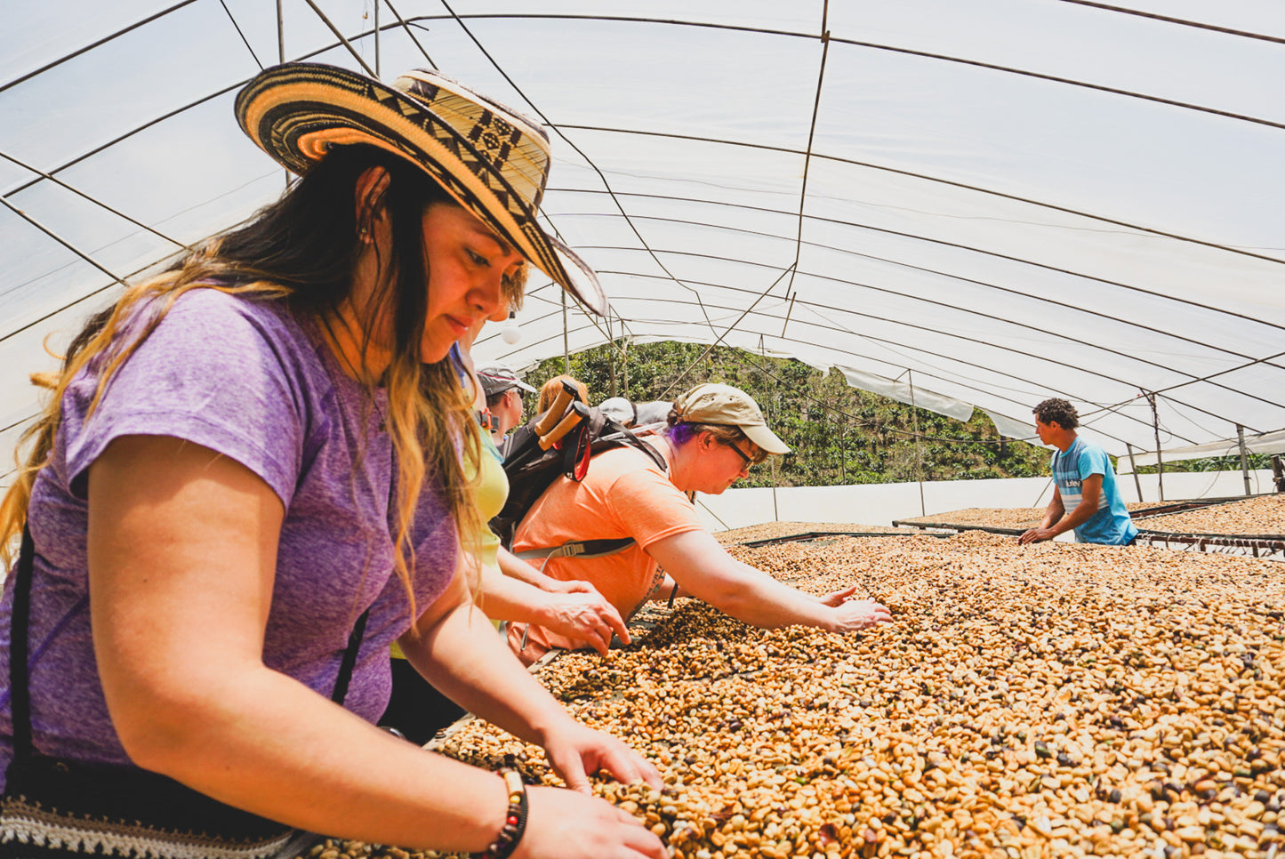 The Costa Rica Experience