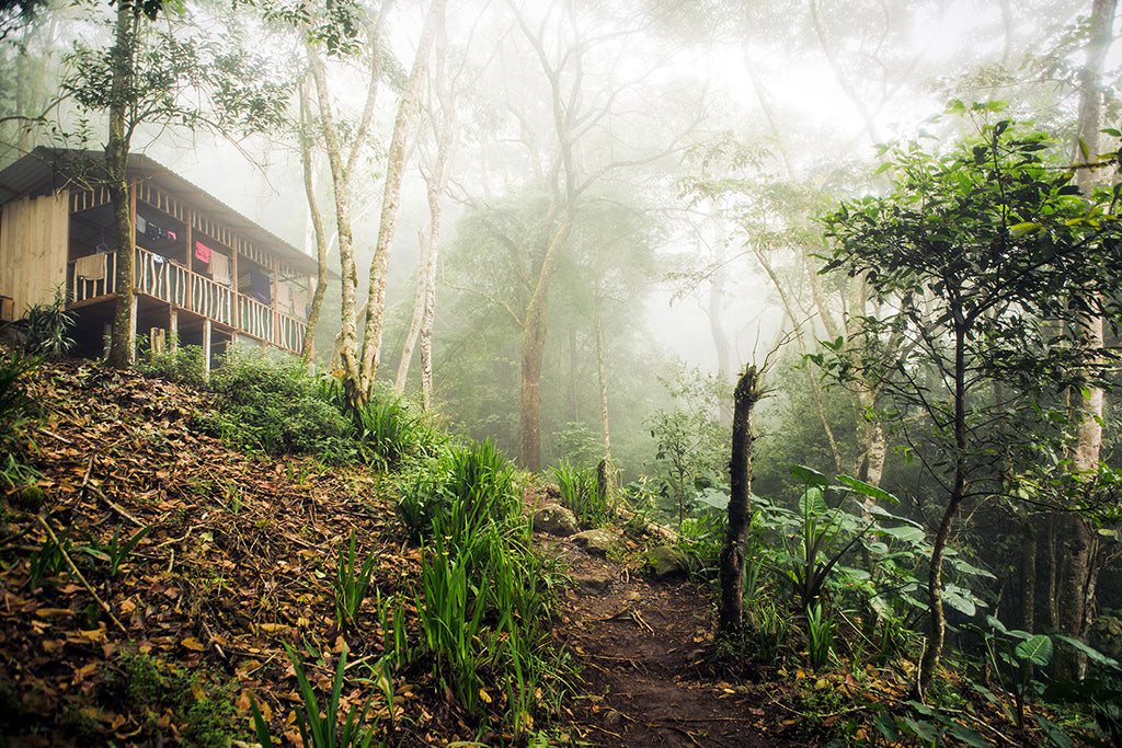The Costa Rica Experience