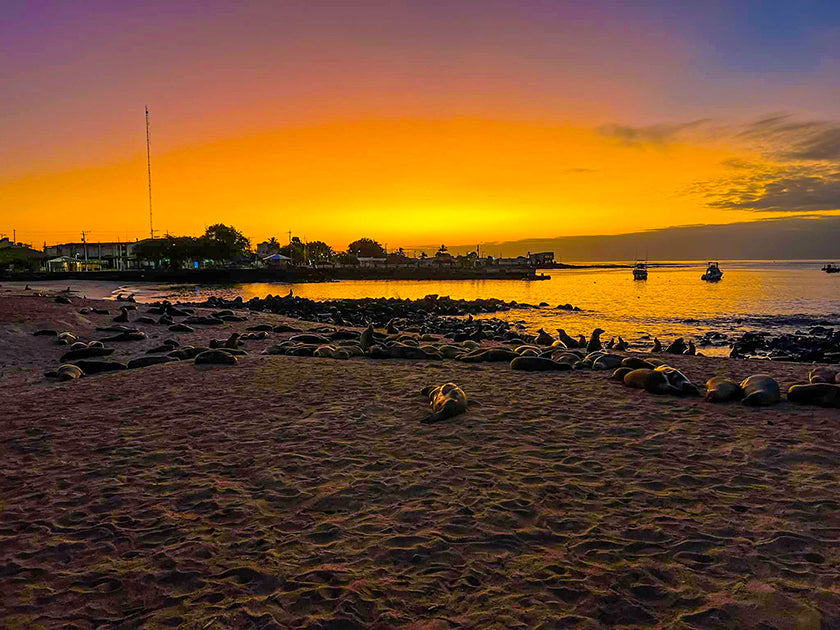 The Galapagos Islands Experience