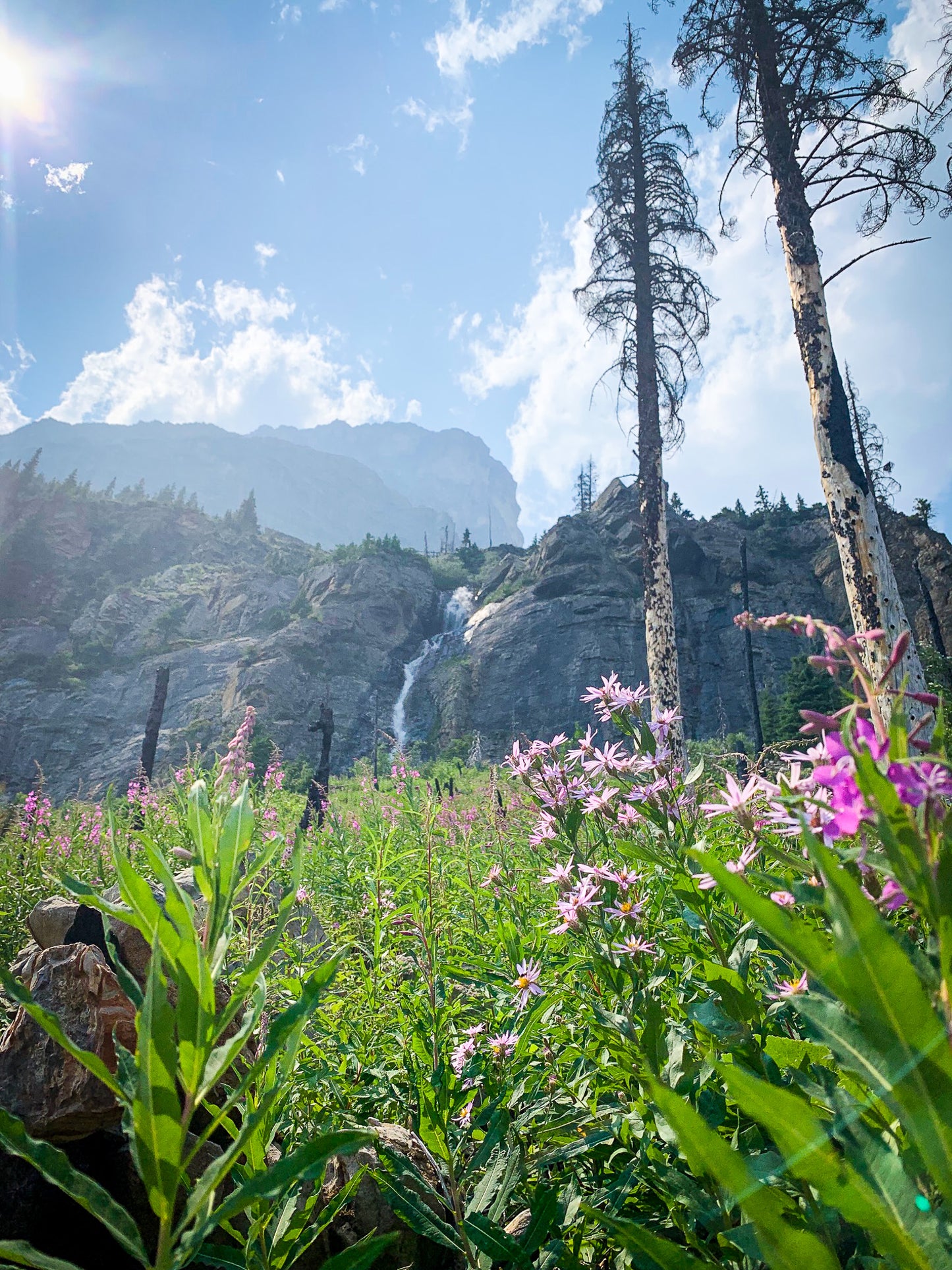 Chasing Waterfalls - Through the Lens Experience, Nordegg Alberta
